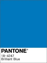 Brilliant Blue Kahurangi Shorts (2-14 years)