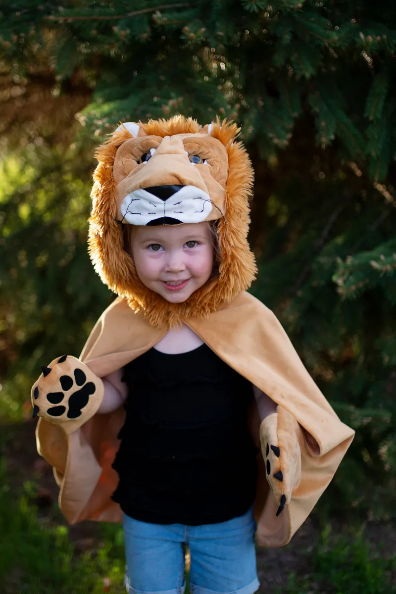 Great Pretenders Storybook Lion Cape, Size 2-3