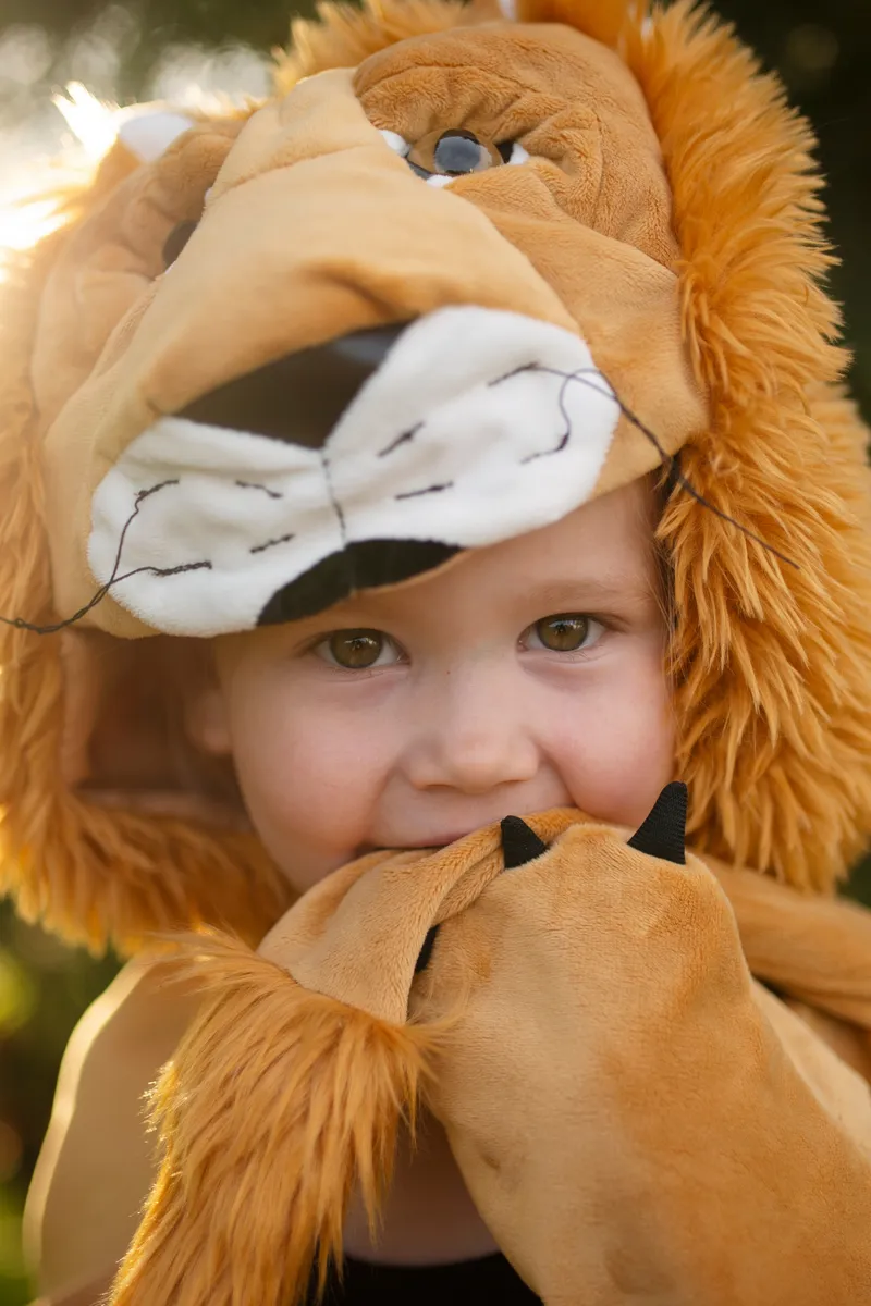 Great Pretenders Storybook Lion Cape, Size 2-3