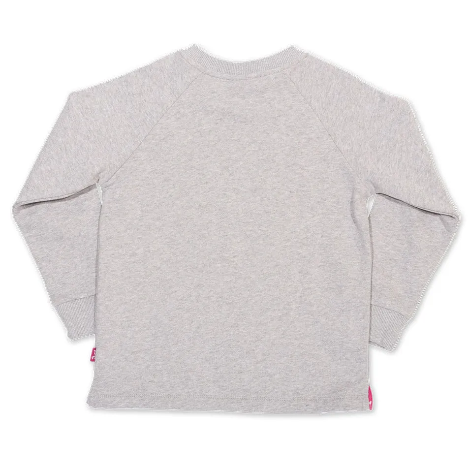 Super fox appliqué sweatshirt: Size 6Y